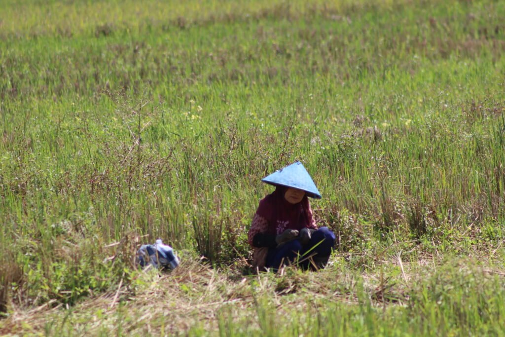proses pengambilan data di lapangan.